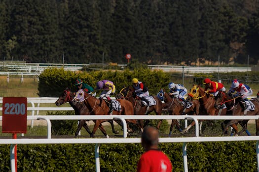 Unlocking the Best Sports for Betting Profits in Tanzania: 2023 Guide